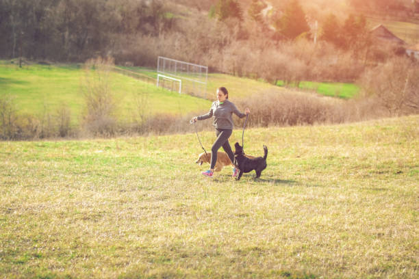 istock Dogs keep you happy and healthy 913508016