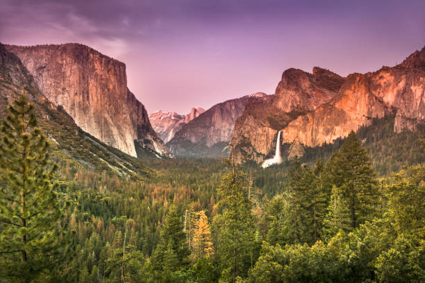 parco nazionale di yosemite , california usa - yosemite national park waterfall half dome california foto e immagini stock