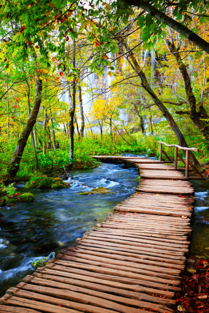 istock Boardwalk in the park Plitvice lakes 913508496