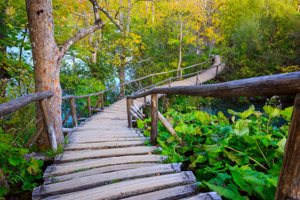 istock Boardwalk in the park Plitvice lakes 913508620