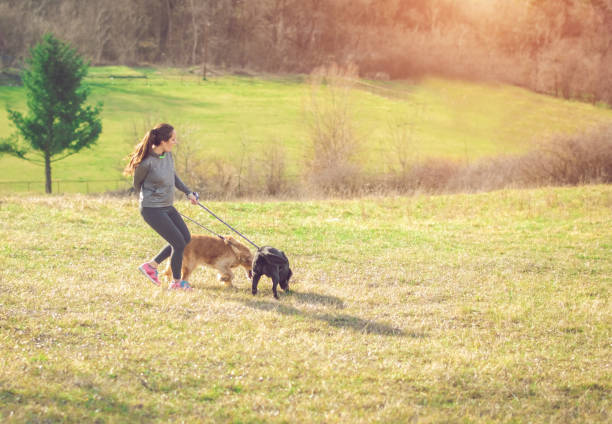 istock Dogs keep you happy and healthy 913508702