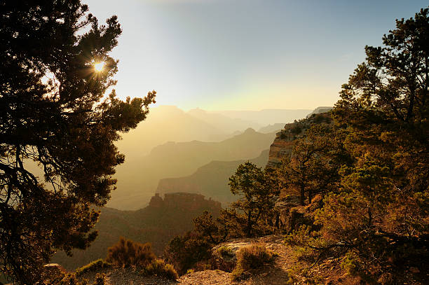 istock Misty morning, Grand Canyon, Arizona 91351150
