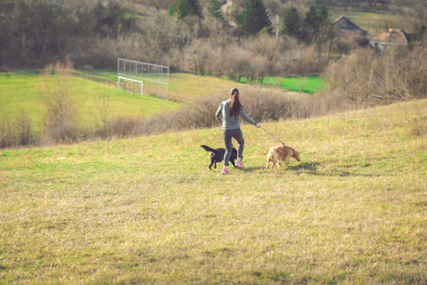 istock Dogs keep you happy and healthy 913513848