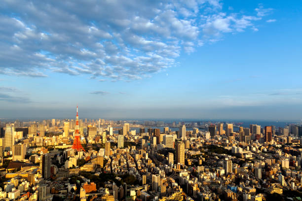 istock Tokyo Cityscape and Tokyo Tower in Sunset Light 913514560