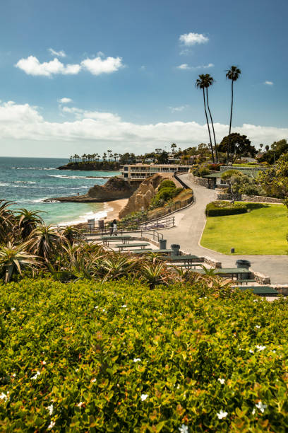 istock Laguna Beach California USA 913514976