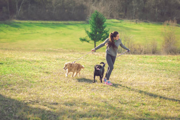 istock Dogs keep you happy and healthy 913515026