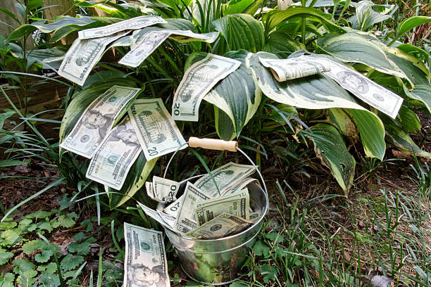 istock Pail of Money 91351606