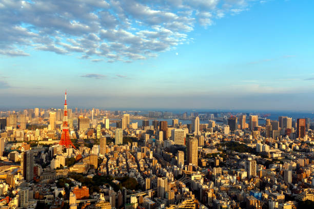 istock Tokyo Cityscape With Tokyo Tower in Sunset Light 913518014