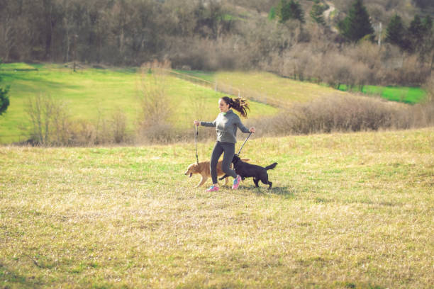 istock Dogs keep you happy and healthy 913518524