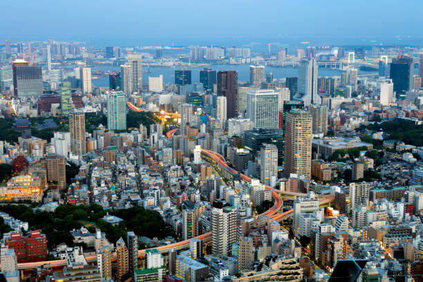 istock Tokyo Skyline at Twilight 913518592