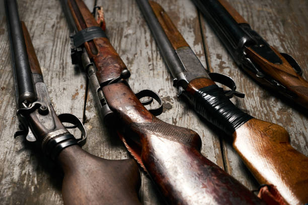 istock ollection of hunting rifles 913522134