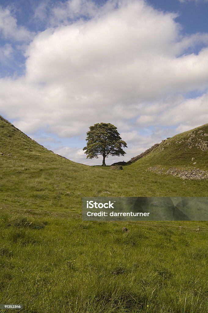 Sycamore Gap, Muro de Adriano - Royalty-free Ao Ar Livre Foto de stock