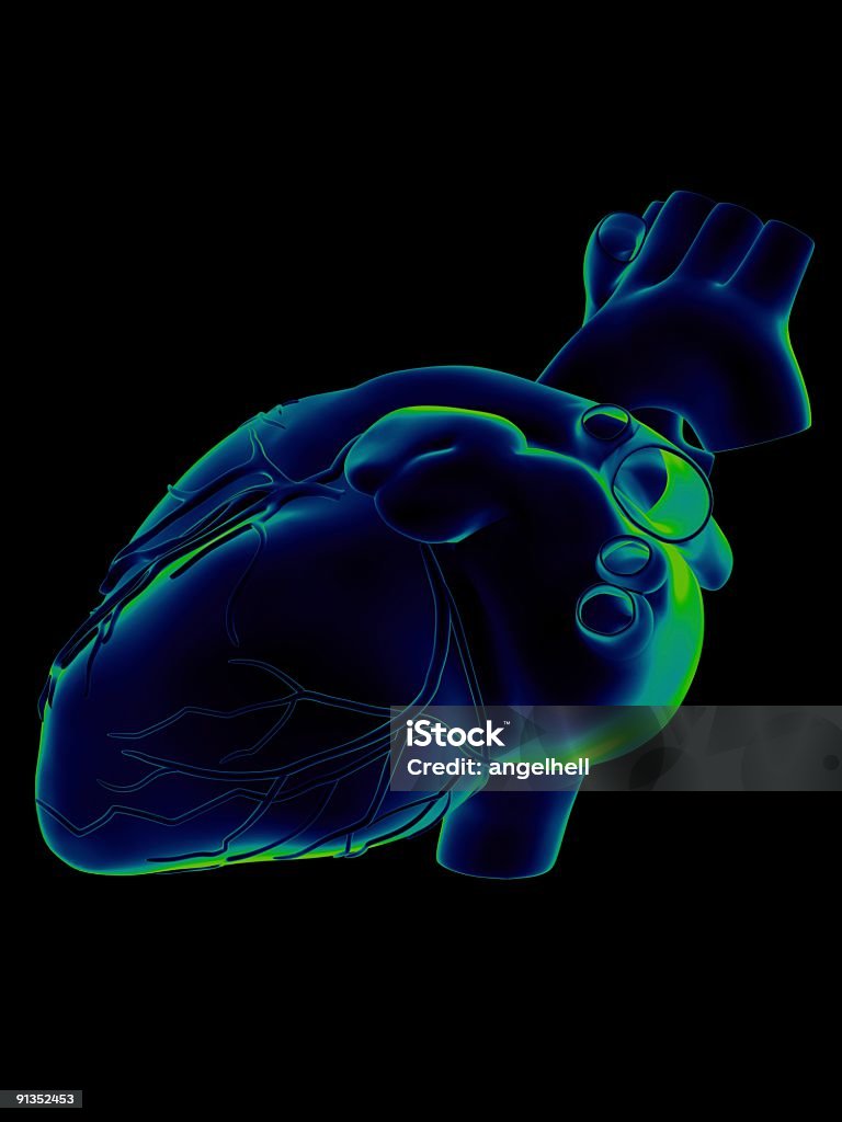 Menschliche Herz medizinische Untersuchung - Lizenzfrei Gesundheitswesen und Medizin Stock-Foto