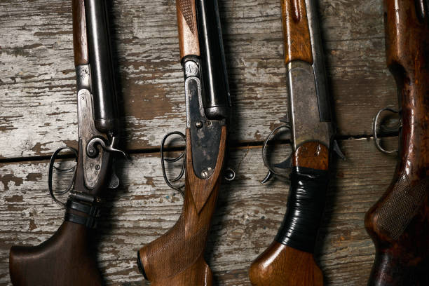 istock Collection of hunting rifles 913524742