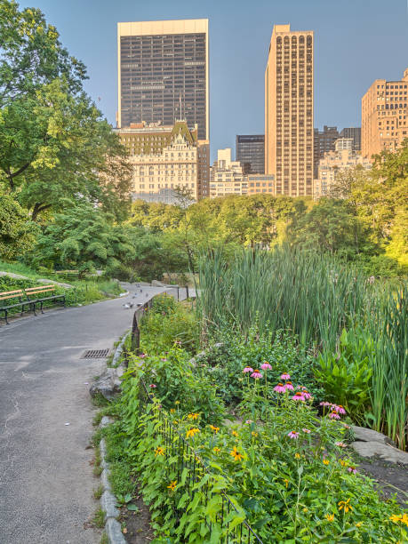 istock Central Park, New York City 913524848