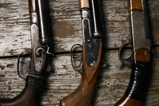 istock Collection of hunting rifles 913525042