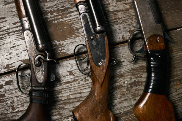 istock Collection of hunting rifles 913525410