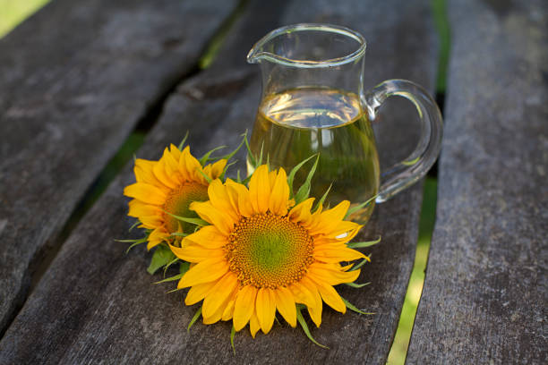 Single Sunflower on green background
