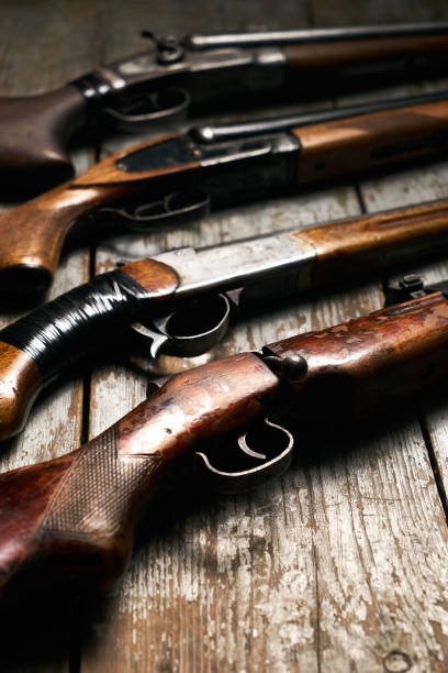 istock Collection of hunting rifles 913528358