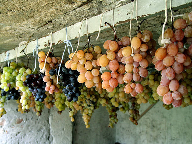 виноград - columbia north carolina стоковые фото и изображения
