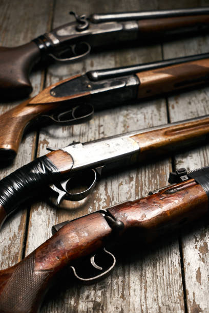 istock Collection of hunting rifles 913528568