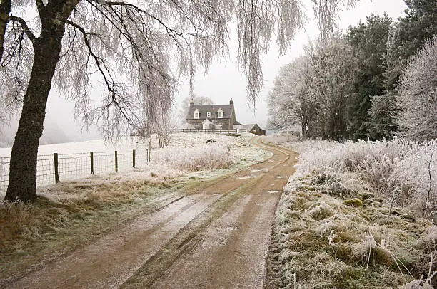 Photo of The old farm track