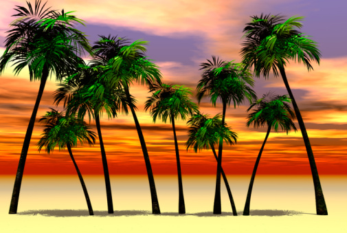 coconut palms at turquoise tropical sunset over calm sea