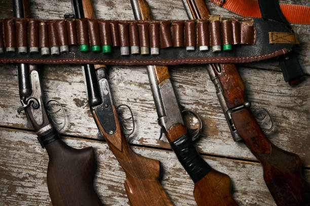 istock Hunting rifles with leather bandolier with ammunition 913529622