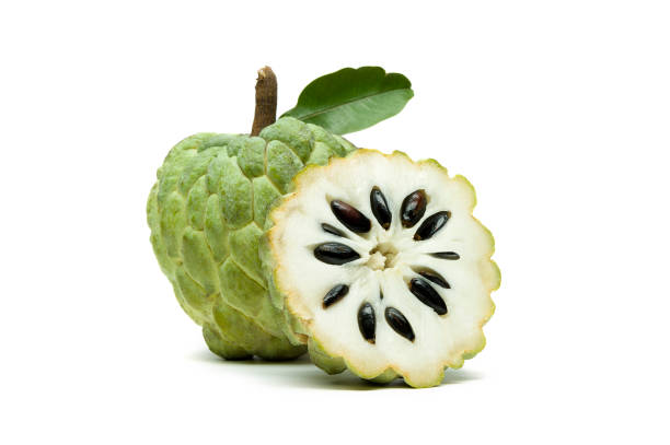 Sugar apple isolated on white Custard apple or sugar apple with slice and green leaf isolated on white background, exotic tropical Thai annona or cherimoya fruit, healthy food annonaceae stock pictures, royalty-free photos & images
