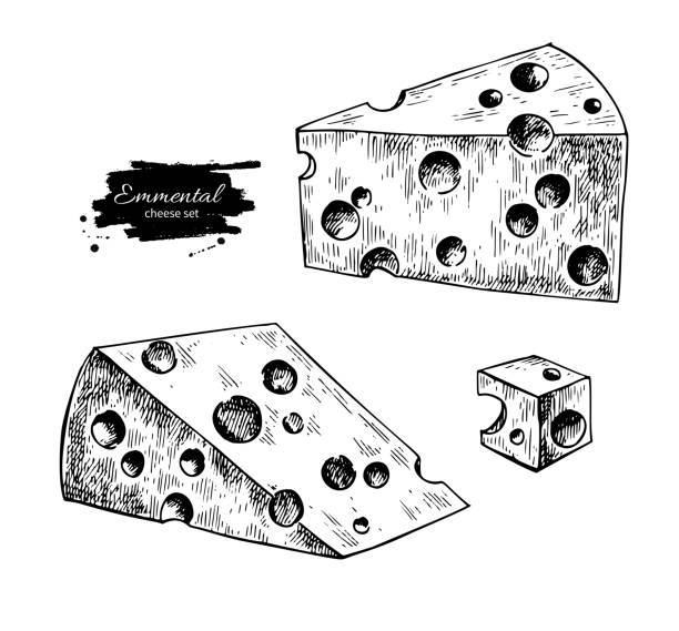 ilustrações de stock, clip art, desenhos animados e ícones de emmental cheese  drawing. vector hand drawn food sketch.engraved - dairy farm dairy product emmental cheese cheese