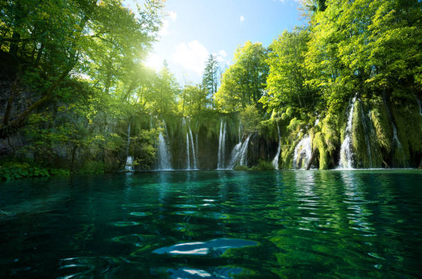 istock waterfall in forest, Plitvice Lakes, Croatia 913537648