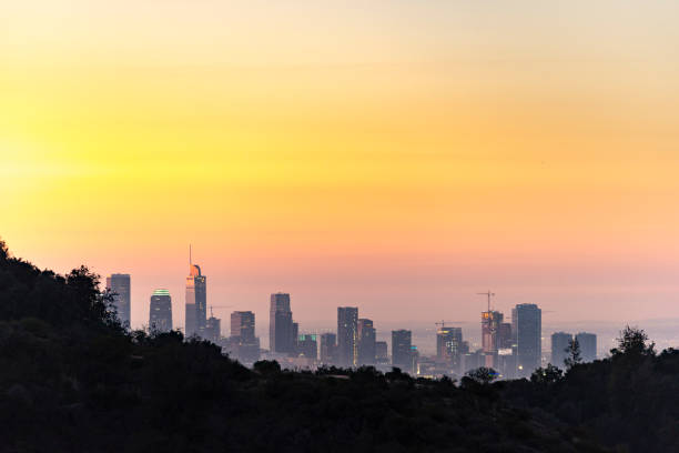 istock Los Angeles Skyline at Dawn Looking from Mt Hollywood 913537972