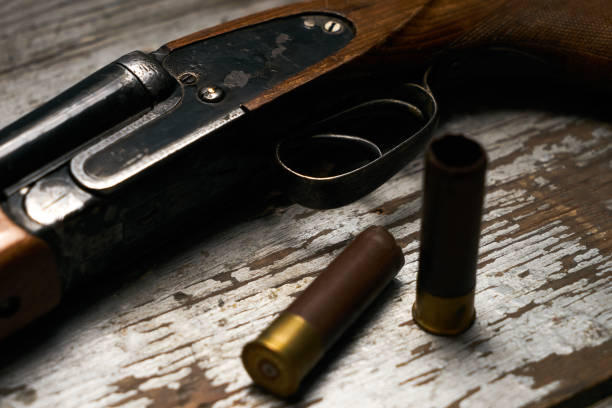 istock Hunting rifle with cartridges 913538904