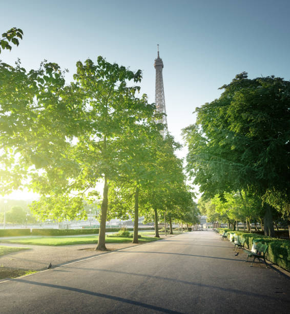 istock sunny morning and Eiffel Tower, Paris, France 913539228