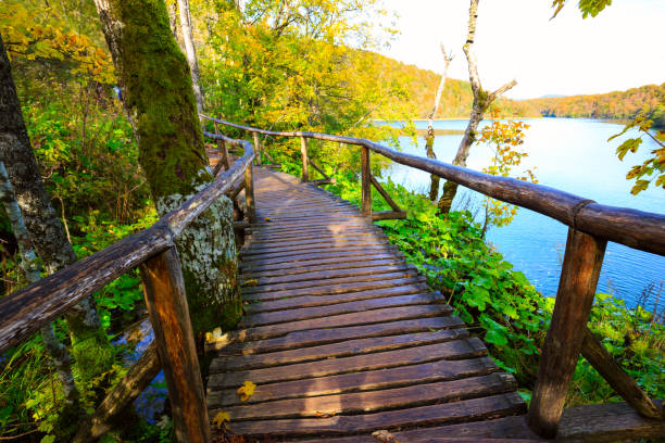 istock Boardwalk in the park Plitvice lakes 913541848