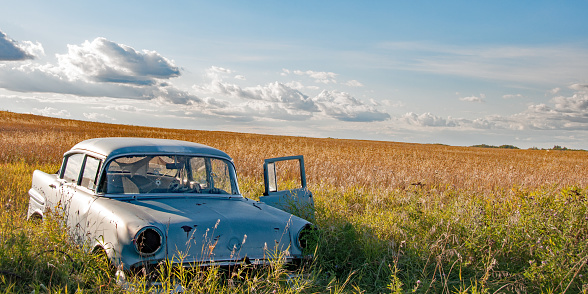 Once a farmer's car from the 1950's abandoned in a field now not used for agriculture.