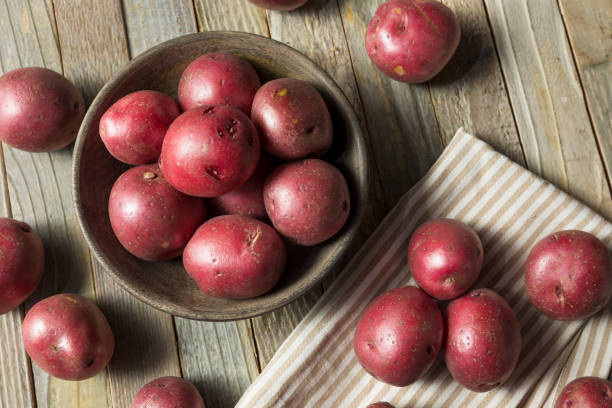 rohe rote bio-kartoffeln - red potato raw potato red vegetable stock-fotos und bilder