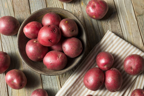 生赤有機じゃがいも - raw potato red potato red nutrient ストックフォトと画像