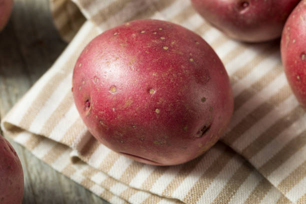 生赤有機じゃがいも - red potato raw potato burlap red ストックフォトと画像