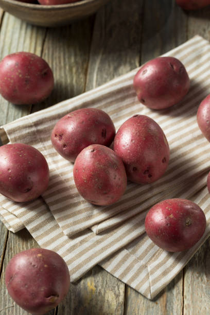 生赤有機じゃがいも - red potato raw potato burlap red ストックフォトと画像