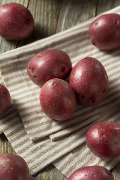 生赤有機じゃがいも - red potato raw potato burlap red ストックフォトと画像