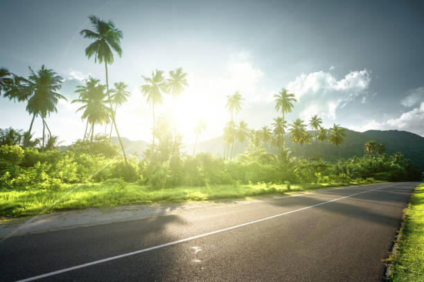 istock empty road in jungle of Seychelles islands 913546298