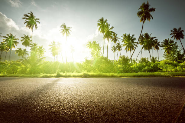 istock empty road in jungle of Seychelles islands 913546302
