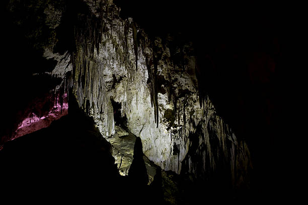 Carlsbad Caverns National Park  carlsbad texas stock pictures, royalty-free photos & images