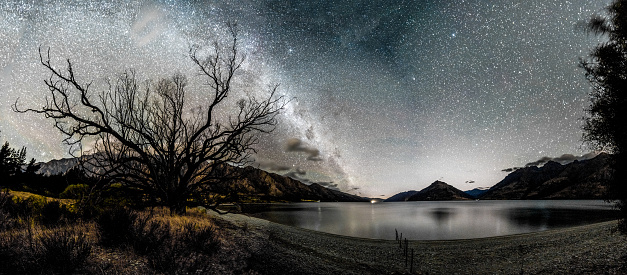 Old tree near Lake Wakatipu shoreline at night, view of Double Cone (Remarkables) and Milky Way
