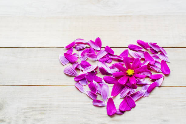 istock flower heart shape lay on wooden background 913563178