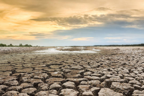 istock Water crisis on cracked earth near drying 913581358