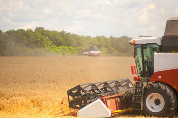 istock combine harvester working on a wheat field 913581664