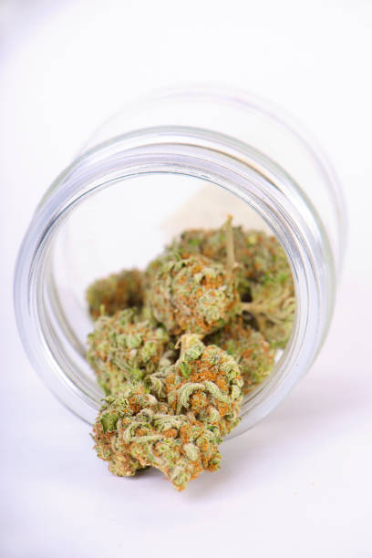 istock Cannabis buds (sour tangie strain) on glass jar isolated on white 913582478