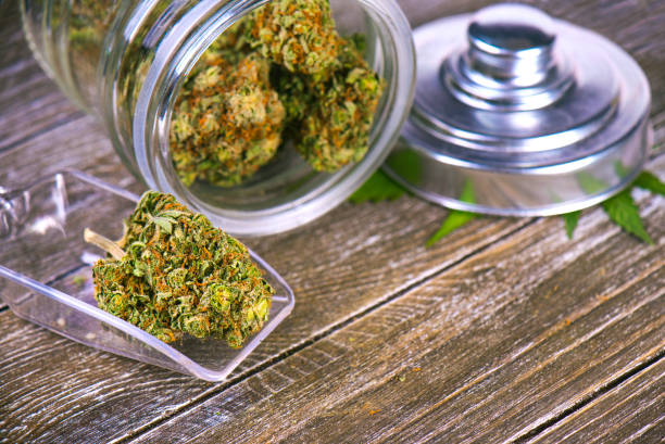 Cannabis buds (scout master strain) on glass jar over wood background - fotografia de stock